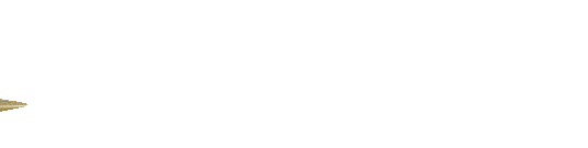 cyber logo